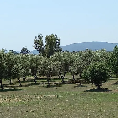 Basecamp Ogliastra - Flat